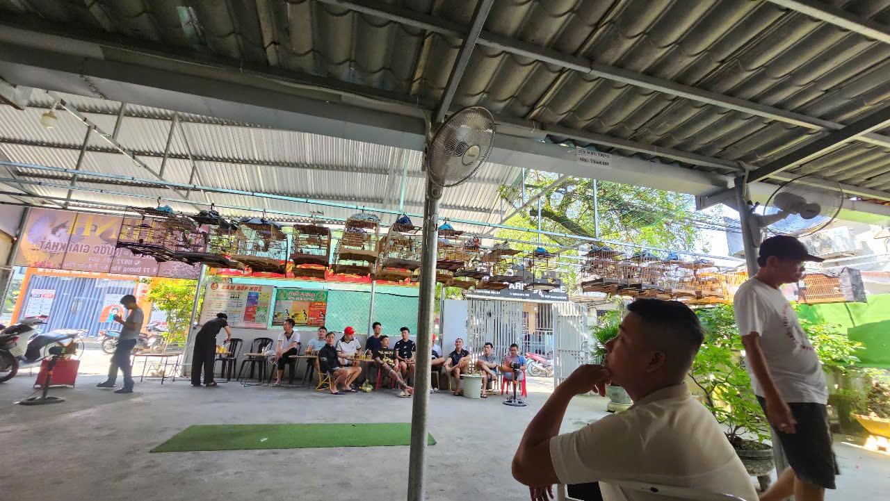 Huế: Mang theo chim cảnh đi uống cà phê phải có "giấy khai sinh"- Ảnh 1. Huế: Mang theo chim cảnh đi uống cà phê phải có "giấy khai sinh"- Ảnh 1.
