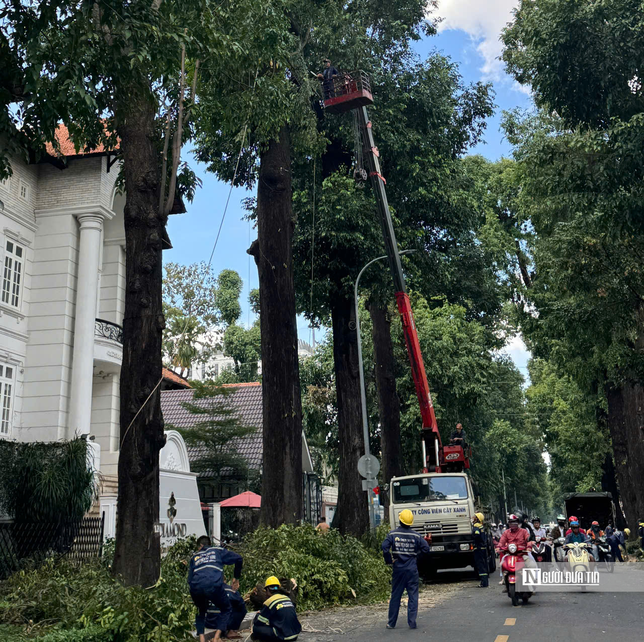 Tp.HCM: Cắt tỉa cây xanh, giải quyết điểm ngập, đảm bảo an toàn cho người dân- Ảnh 2. Tp.HCM: Cắt tỉa cây xanh, giải quyết điểm ngập, đảm bảo an toàn cho người dân- Ảnh 2.