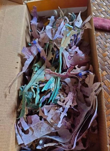 Cất tiền tiết kiệm trong hộp bánh cũ, cụ bà sốc nặng sau khi mở ra- Ảnh 1. Cất tiền tiết kiệm trong hộp bánh cũ, cụ bà sốc nặng sau khi mở ra- Ảnh 1.