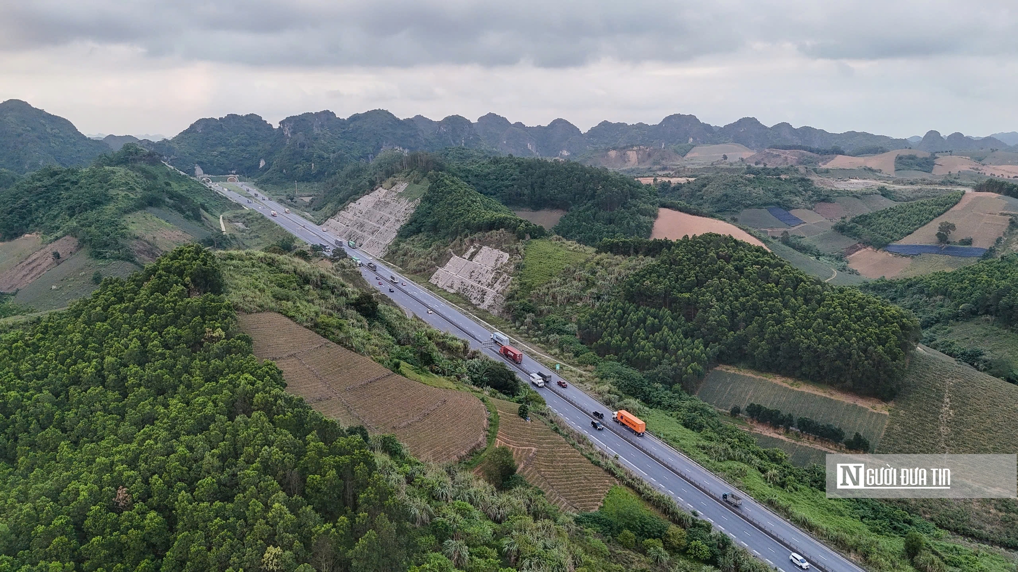 Cánh đồng dứa bất tận dọc hai bên cao tốc Ninh Bình - Thanh Hóa- Ảnh 6. Cánh đồng dứa bất tận dọc hai bên cao tốc Ninh Bình - Thanh Hóa- Ảnh 6.