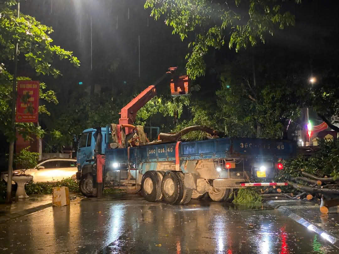 Mưa gió khiến cổng chào khu di tích Lam Kinh bị đổ sập- Ảnh 3. Mưa gió khiến cổng chào khu di tích Lam Kinh bị đổ sập- Ảnh 3.
