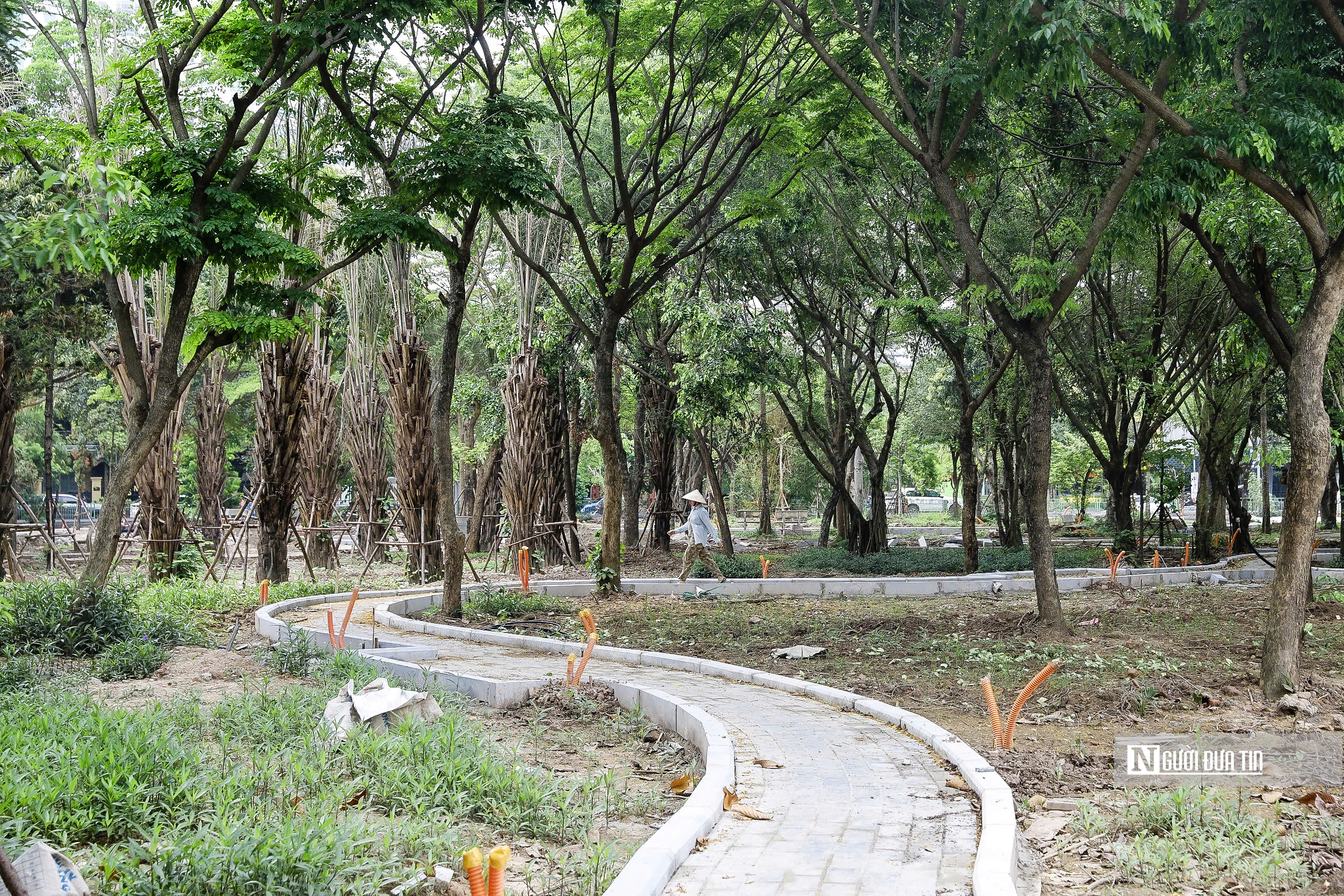Hà Nội: Diện mạo mới của công viên Cầu Giấy sau 3 tháng cải tạo- Ảnh 6. Hà Nội: Diện mạo mới của công viên Cầu Giấy sau 3 tháng cải tạo- Ảnh 6.