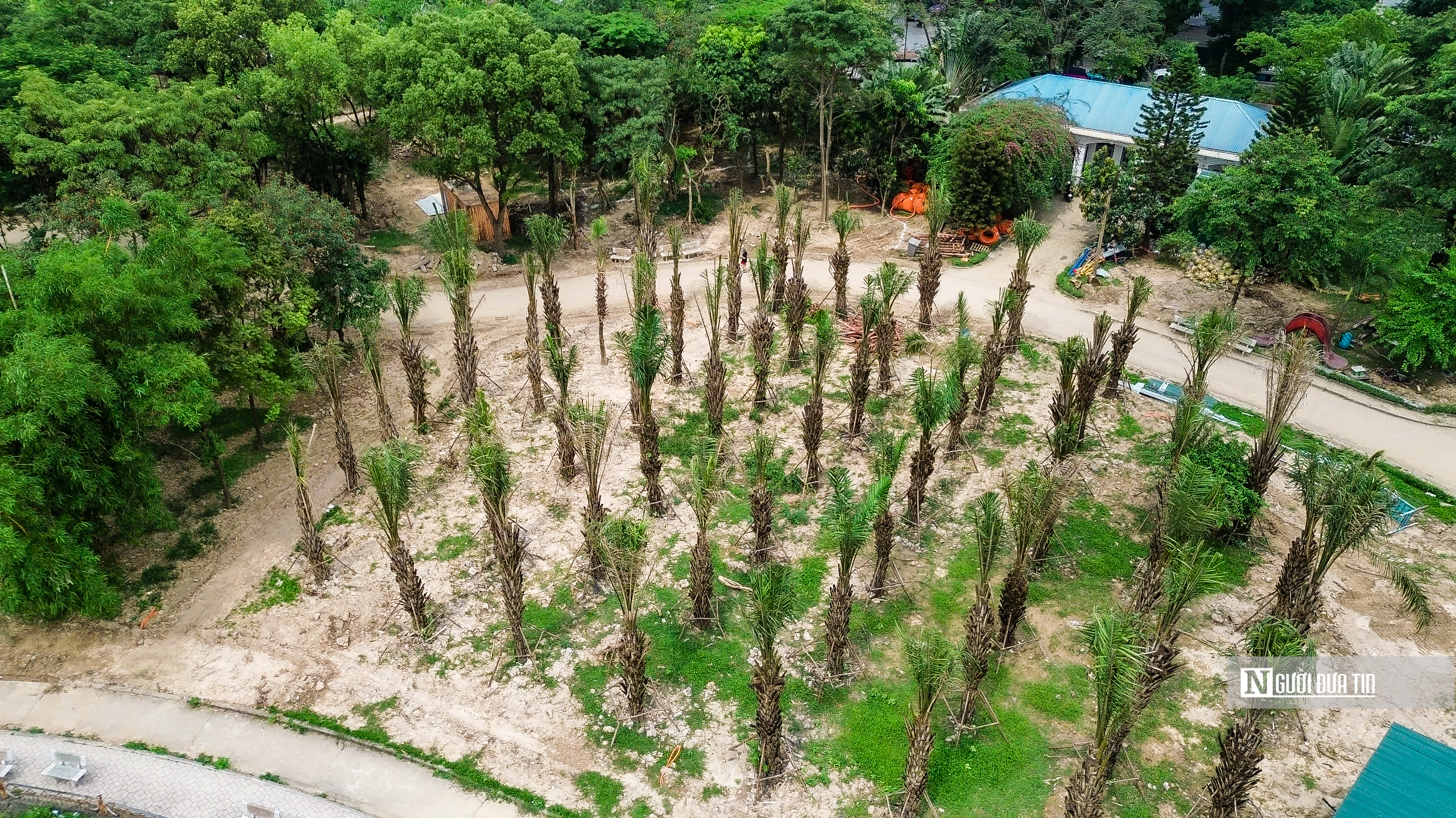 Hà Nội: Diện mạo mới của công viên Cầu Giấy sau 3 tháng cải tạo- Ảnh 4. Hà Nội: Diện mạo mới của công viên Cầu Giấy sau 3 tháng cải tạo- Ảnh 4.