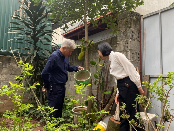 Sốt xuất huyết có dấu hiệu gia tăng tại Hà Nội- Ảnh 1. Sốt xuất huyết có dấu hiệu gia tăng tại Hà Nội- Ảnh 1.