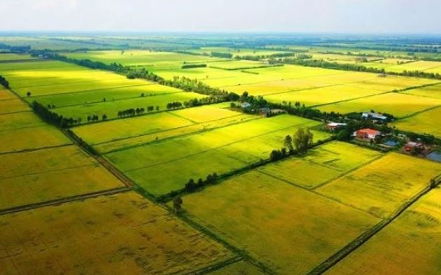Mức xử phạt đối với hành vi lấn chiếm đất theo quy định mới nhất- Ảnh 1. Mức xử phạt đối với hành vi lấn chiếm đất theo quy định mới nhất- Ảnh 1.