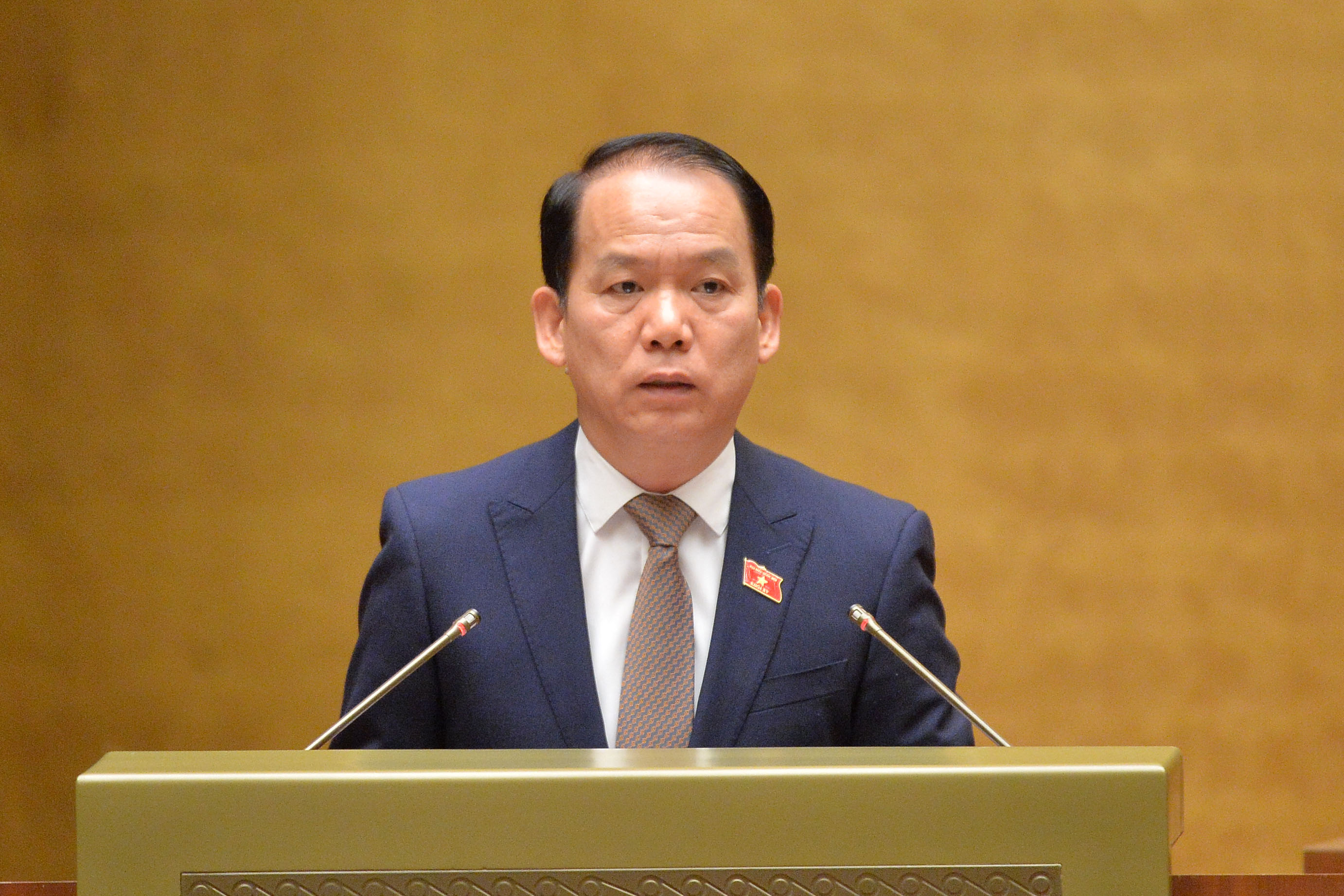 Đề xuất bỏ phạt tử hình với 8 tội danh, có tội tham ô tài sản, nhận hối lộ- Ảnh 2. Đề xuất bỏ phạt tử hình với 8 tội danh, có tội tham ô tài sản, nhận hối lộ- Ảnh 2.