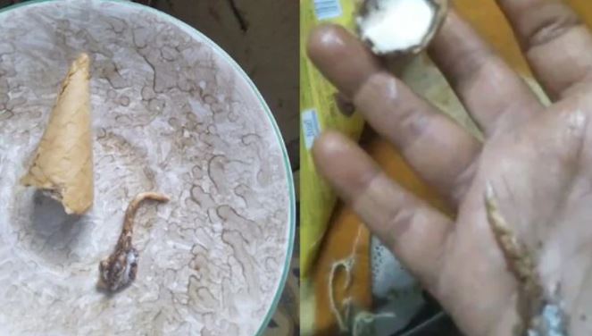 Đang ăn kem, người phụ nữ sốc nặng khi phát hiện thứ "đáng sợ"- Ảnh 1. Đang ăn kem, người phụ nữ sốc nặng khi phát hiện thứ "đáng sợ"- Ảnh 1.