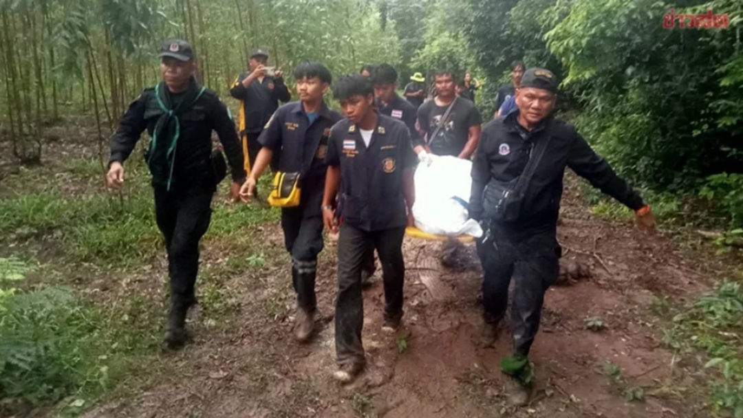 Đang hái ớt, người đàn ông bị voi dữ tấn công tử vong- Ảnh 1. Đang hái ớt, người đàn ông bị voi dữ tấn công tử vong- Ảnh 1.