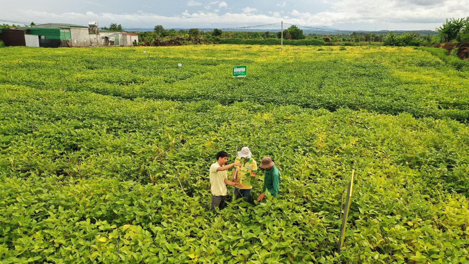 Chuyện người giữ sức khỏe cho đất- Ảnh 1.