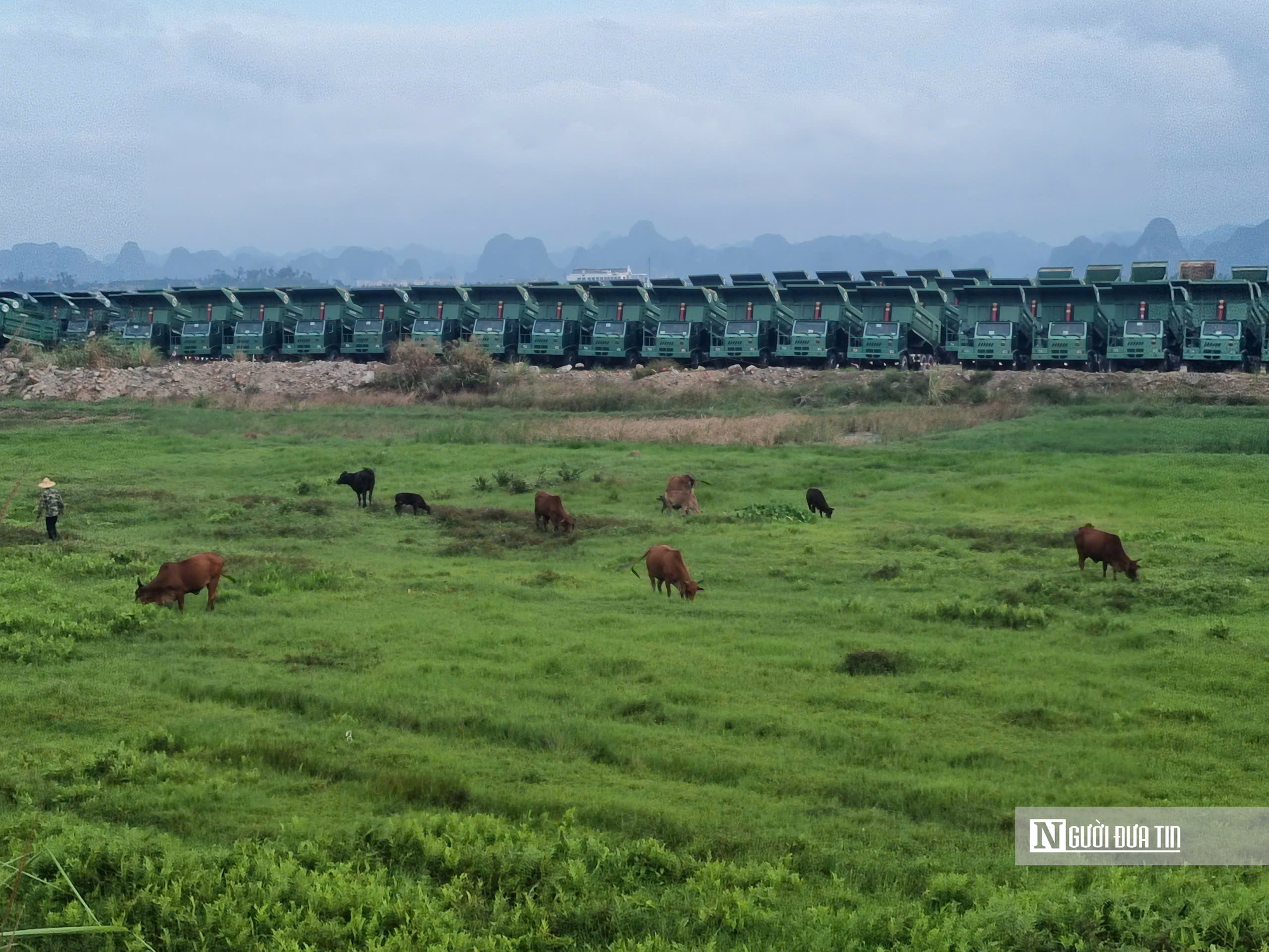 Quảng Ninh: Thông tin mới tiến độ "siêu" dự án Hạ Long Xanh- Ảnh 3. Quảng Ninh: Thông tin mới tiến độ "siêu" dự án Hạ Long Xanh- Ảnh 3.