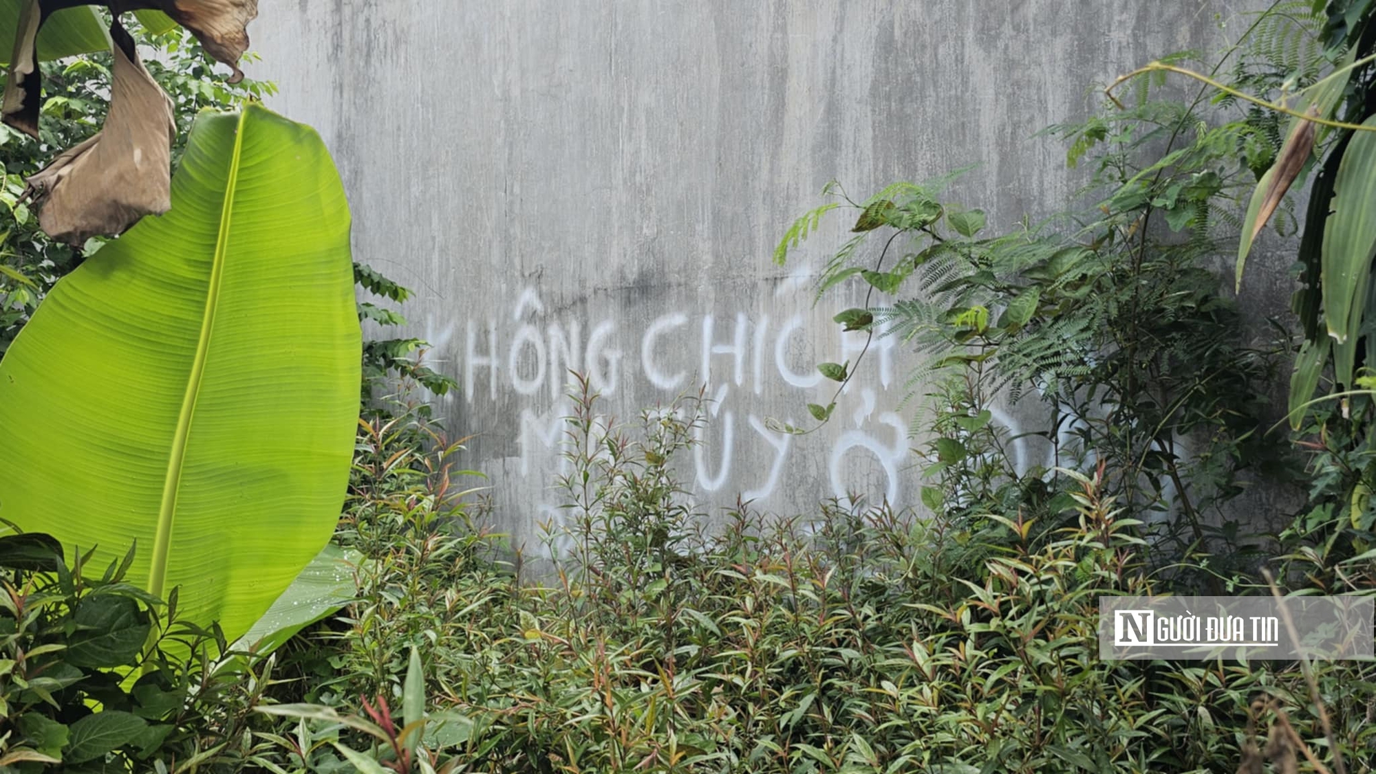 Dự án trăm tỷ thành nơi tập kết rác thải: Nỗi lo tiềm ẩn “điểm đen” tiêm chích ma túy- Ảnh 8. Dự án trăm tỷ thành nơi tập kết rác thải: Nỗi lo tiềm ẩn “điểm đen” tiêm chích ma túy- Ảnh 8.