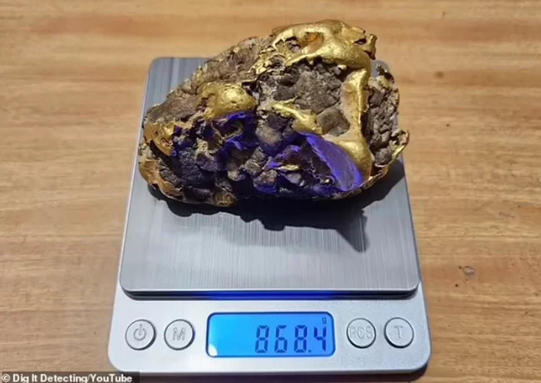 Đang đào gốc cây mục, người đàn ông "sốc ngang" khi thấy cục vàng hơn 2 tỷ- Ảnh 1. Đang đào gốc cây mục, người đàn ông "sốc ngang" khi thấy cục vàng hơn 2 tỷ- Ảnh 1.