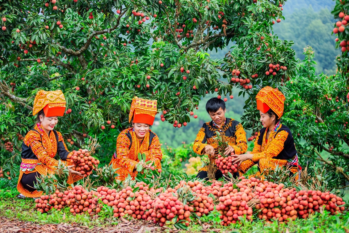 Lục Ngạn 2025: Vải thiều và OCOP - Tinh hoa kết nối phát triển kinh tế địa phương- Ảnh 2. https://khuyennongvn.gov.vn/data/images/0/2024/07/12/hangweb/3.jpg?dpi=150&quality=100&w=1111&mode=crop&anchor=topcenter