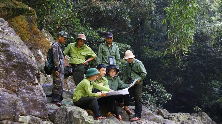 Quảng Trị có bao nhiêu diện tích rừng được hưởng lợi từ "bán không khí" năm 2025?- Ảnh 1. Quảng Trị có bao nhiêu diện tích rừng được hưởng lợi từ "bán không khí" năm 2025?- Ảnh 1.