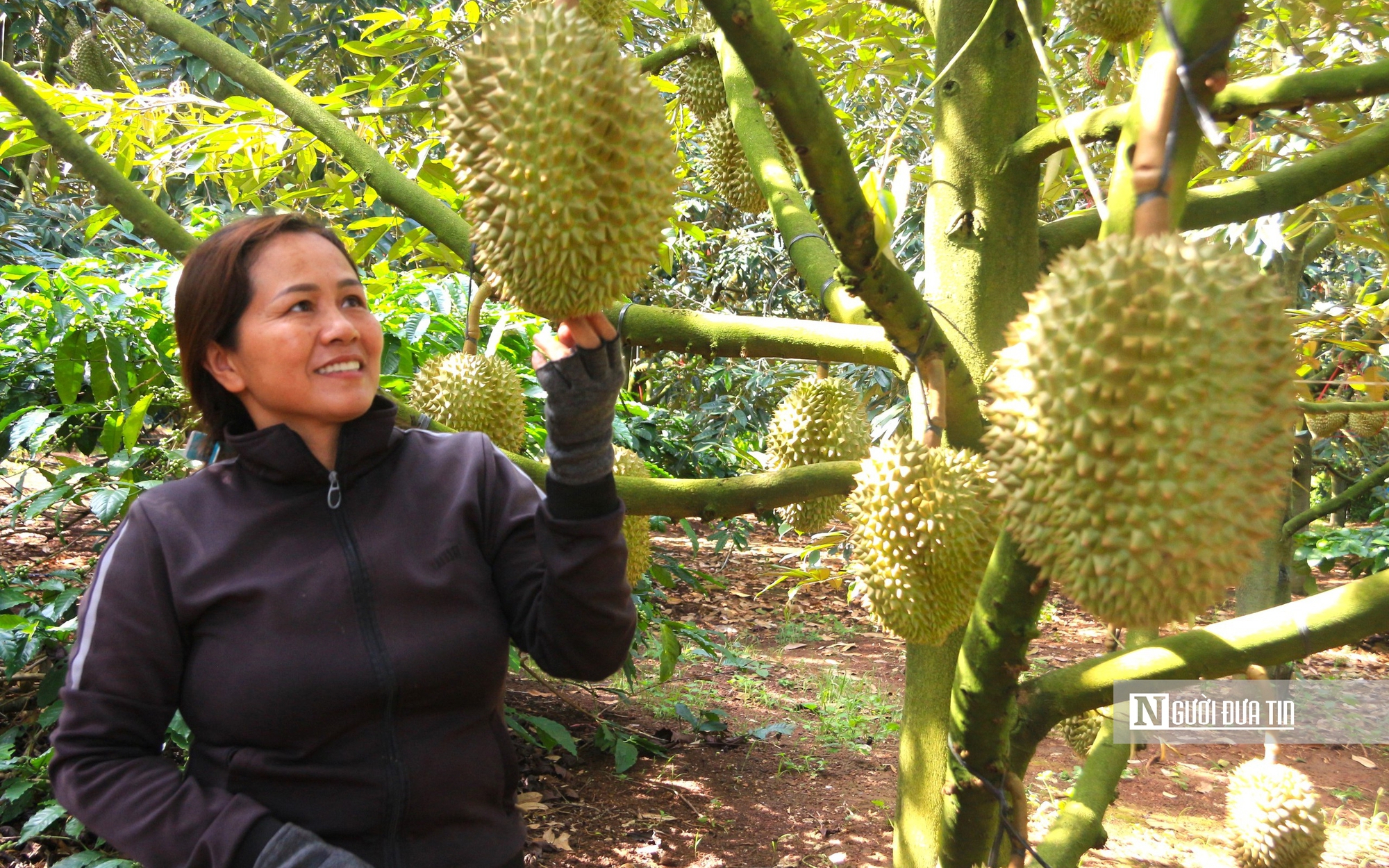 Doanh nghiệp hiến kế 