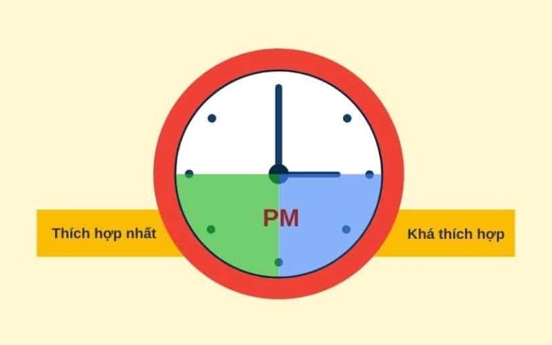 5+ mẹo đăng tin bán xe miễn phí giúp bán nhanh, lãi cao- Ảnh 3. 5+ mẹo đăng tin bán xe miễn phí giúp bán nhanh, lãi cao- Ảnh 3.