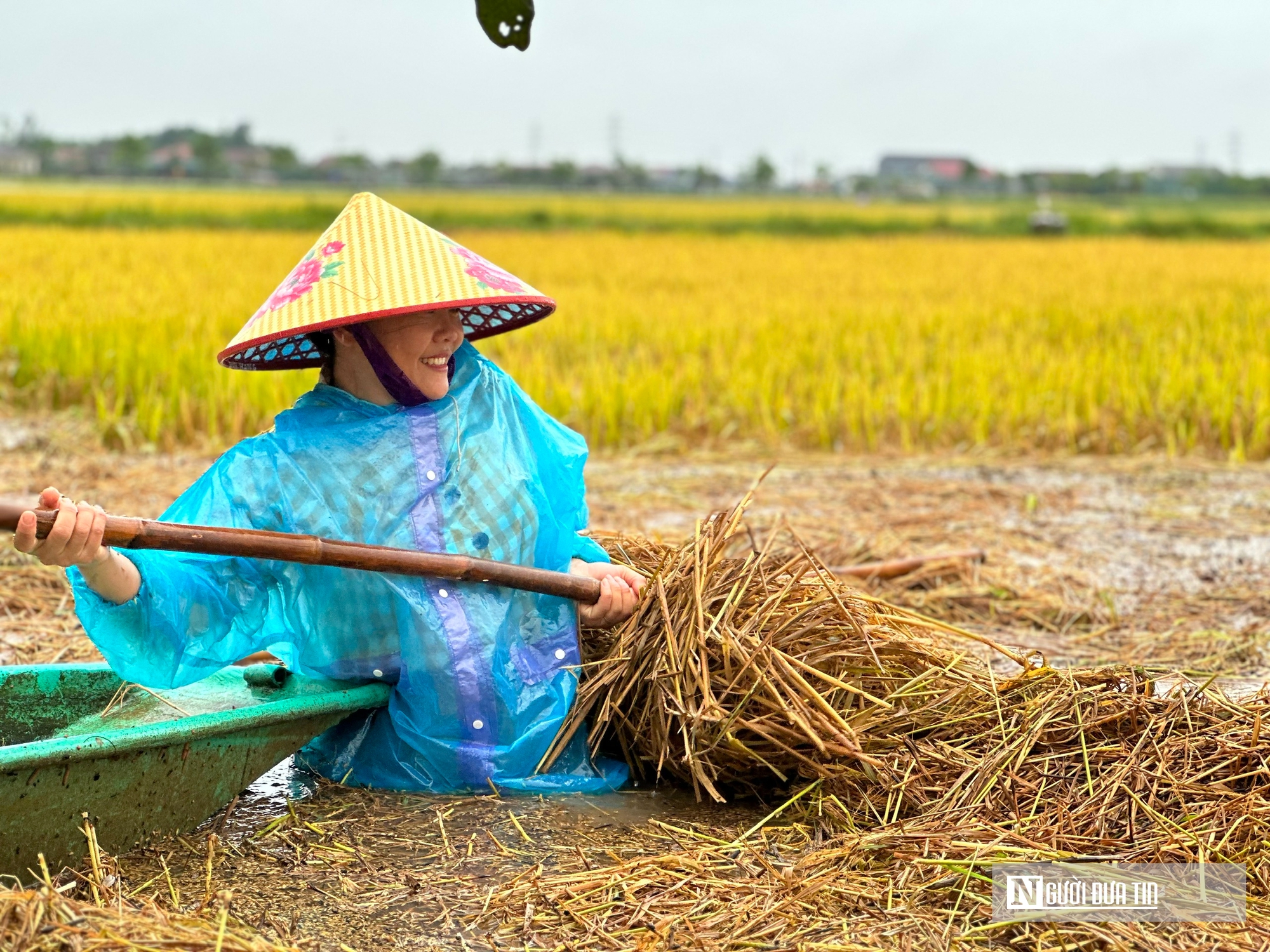 Hà Tĩnh: Hàng nghìn tấn lúa thiệt hại do lũ dâng- Ảnh 3. Hà Tĩnh: Hàng nghìn tấn lúa thiệt hại do lũ dâng- Ảnh 3.