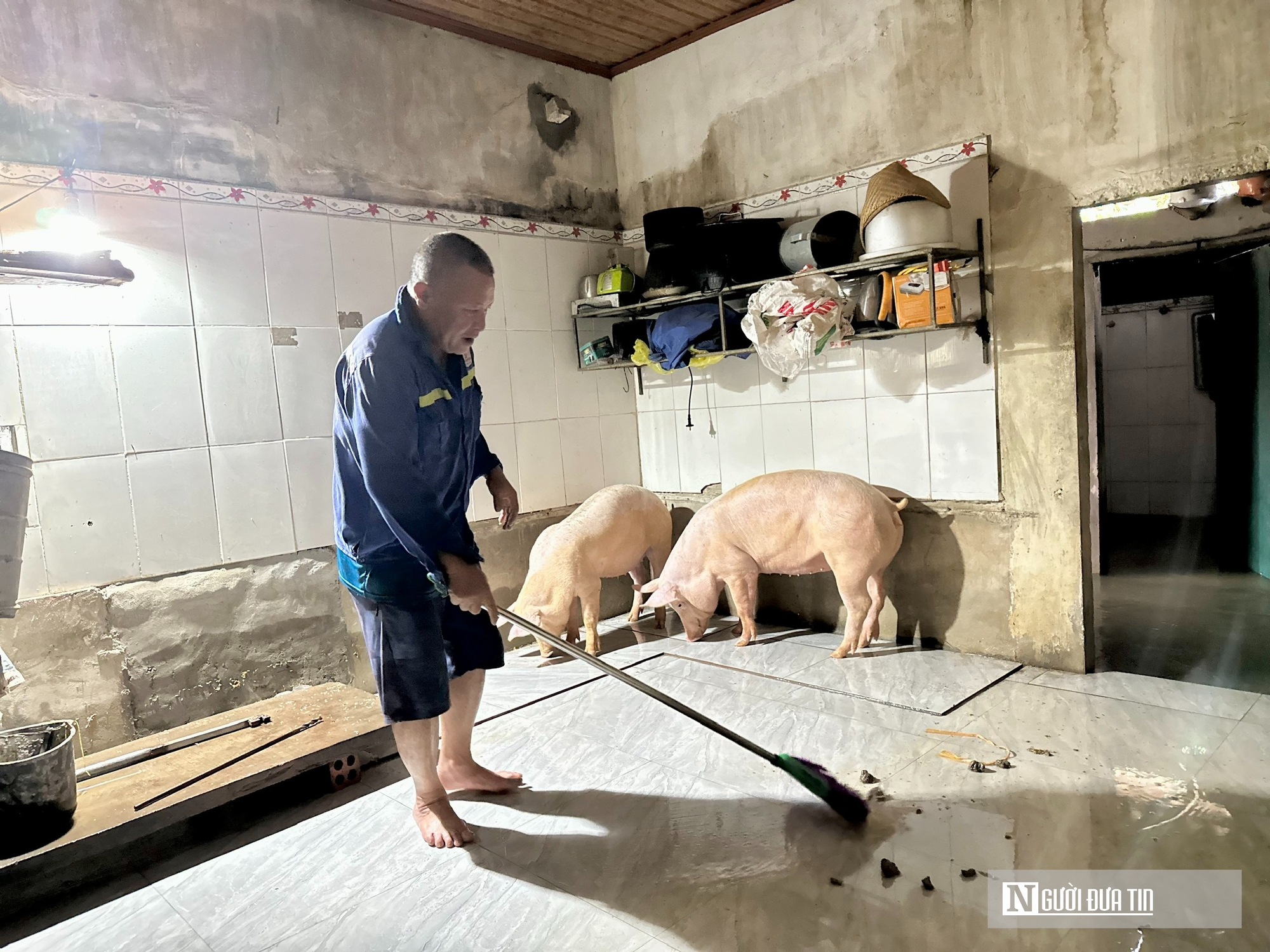 Hà Tĩnh: Hàng nghìn tấn lúa thiệt hại do lũ dâng- Ảnh 5. Hà Tĩnh: Hàng nghìn tấn lúa thiệt hại do lũ dâng- Ảnh 5.