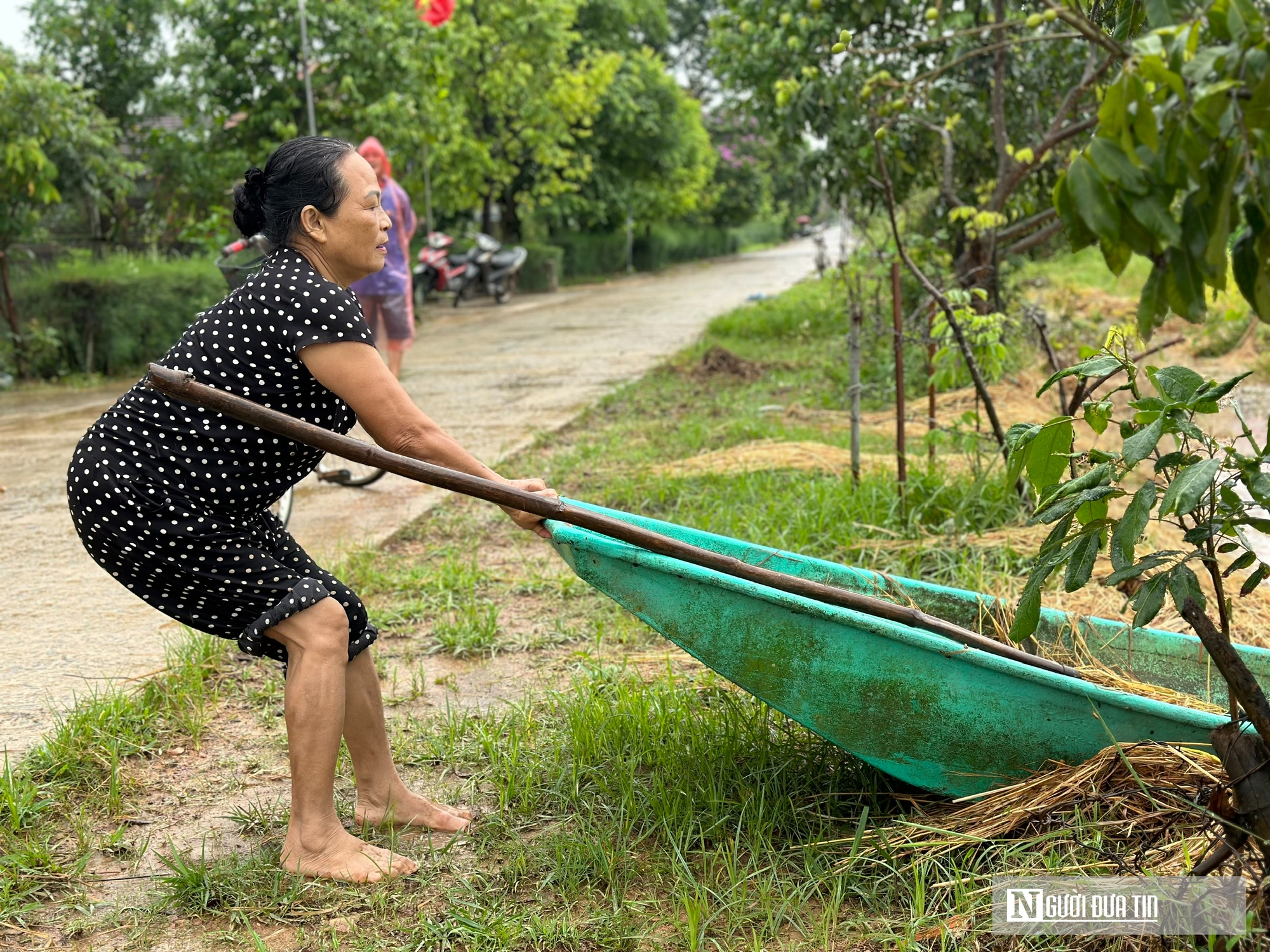 Hà Tĩnh: Hàng nghìn tấn lúa thiệt hại do lũ dâng- Ảnh 9. Hà Tĩnh: Hàng nghìn tấn lúa thiệt hại do lũ dâng- Ảnh 9.