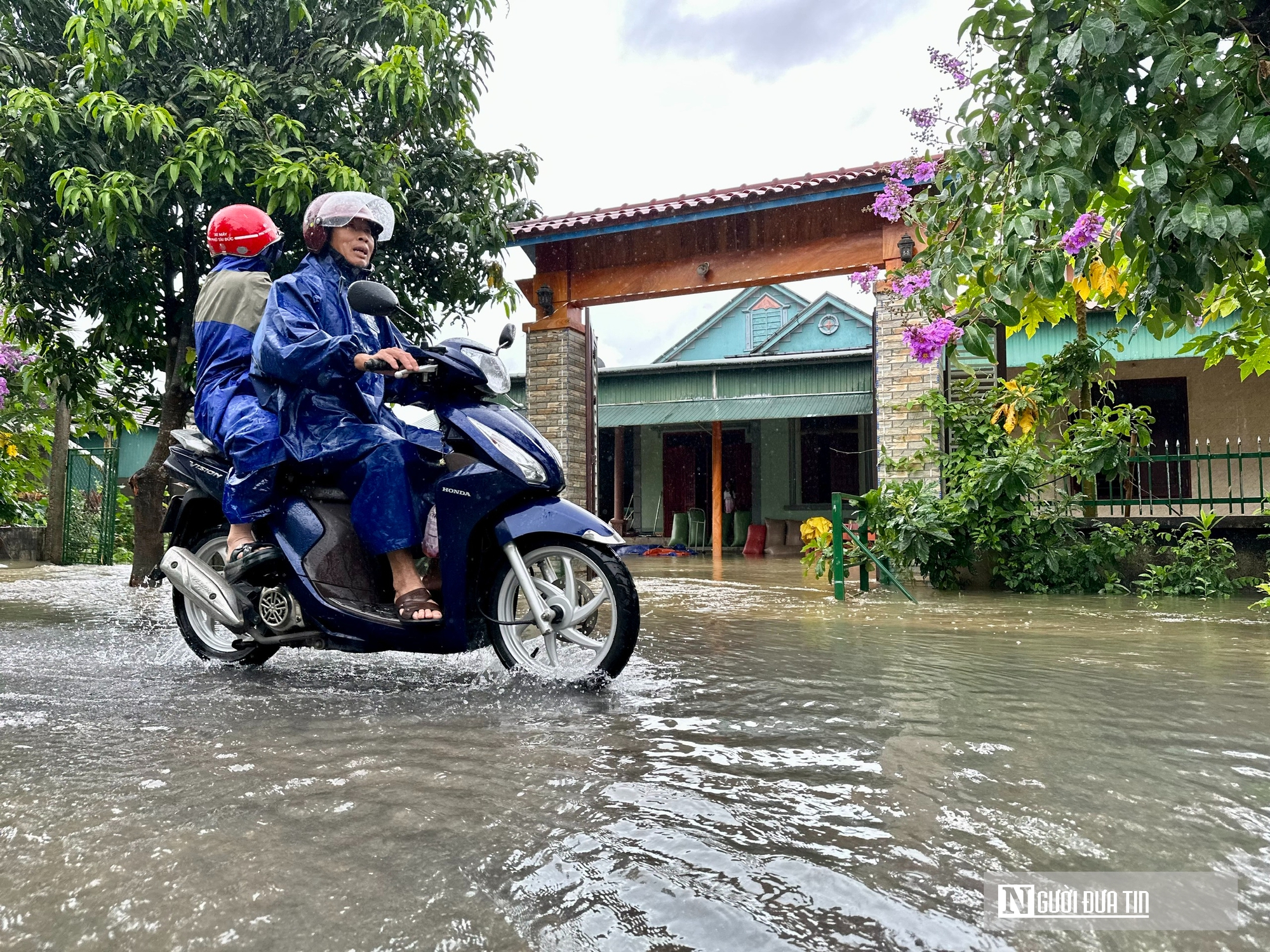 Hà Tĩnh: Hàng nghìn tấn lúa thiệt hại do lũ dâng- Ảnh 10. Hà Tĩnh: Hàng nghìn tấn lúa thiệt hại do lũ dâng- Ảnh 10.