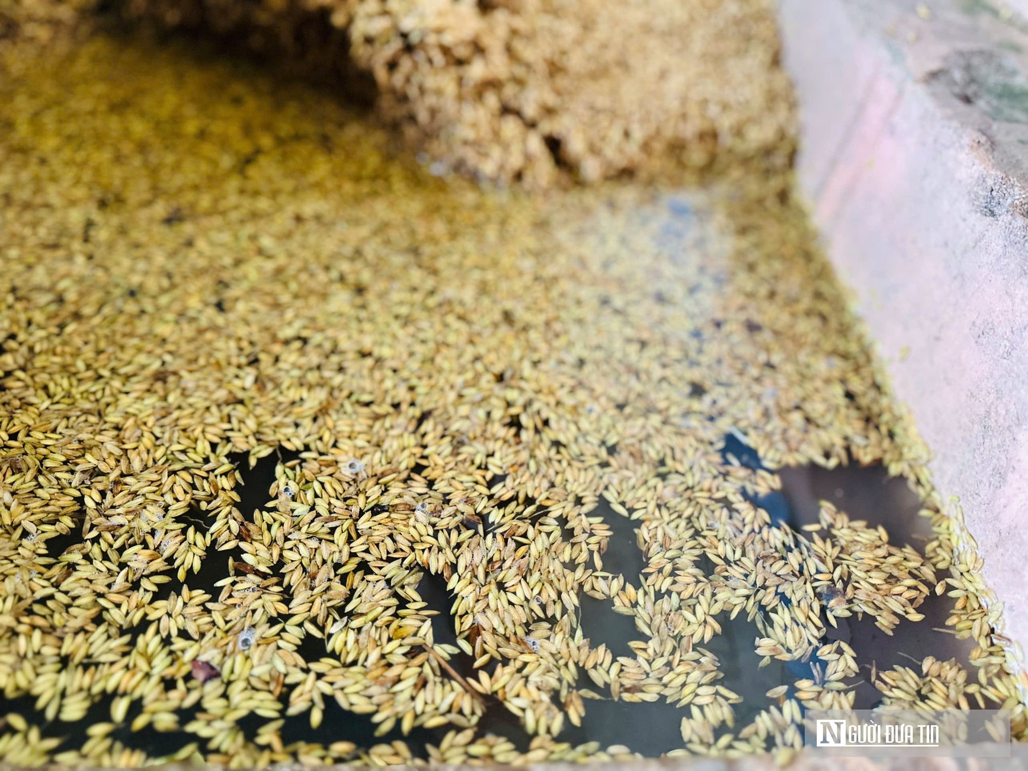 Lũ vào mùa hè tại Hà Tĩnh là bất thường- Ảnh 4. Lũ vào mùa hè tại Hà Tĩnh là bất thường- Ảnh 4.