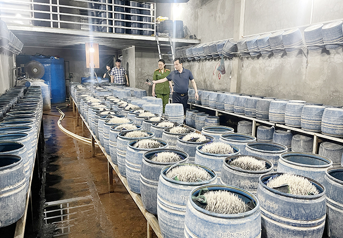 Lào Cai: Phát hiện hàng trăm tấn giá đỗ được ủ bởi hóa chất có hại cho sức khỏe- Ảnh 1. Lào Cai: Phát hiện hàng trăm tấn giá đỗ được ủ bởi hóa chất có hại cho sức khỏe- Ảnh 1.