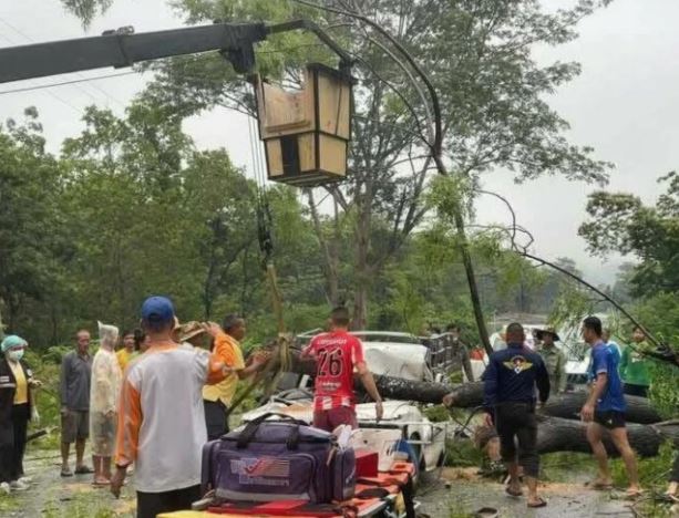 Cây lớn đổ vào xe bán tải, 2 vợ chồng tử vong thương tâm- Ảnh 2. Cây lớn đổ vào xe bán tải, 2 vợ chồng tử vong thương tâm- Ảnh 2.