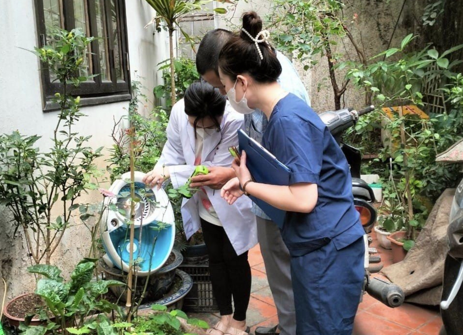 Chủ động diệt loăng quăng, ngăn chặn sốt xuất huyết bùng phát- Ảnh 1. Chủ động diệt loăng quăng, ngăn chặn sốt xuất huyết bùng phát- Ảnh 1.