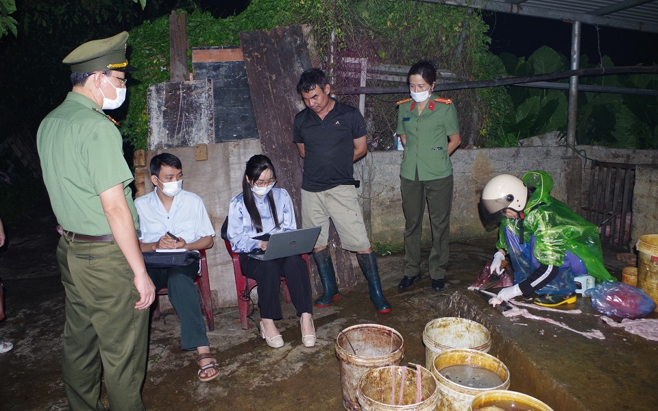 Phát hiện gần 3 tấn thịt lợn nhiễm virus dịch tả lợn châu Phi