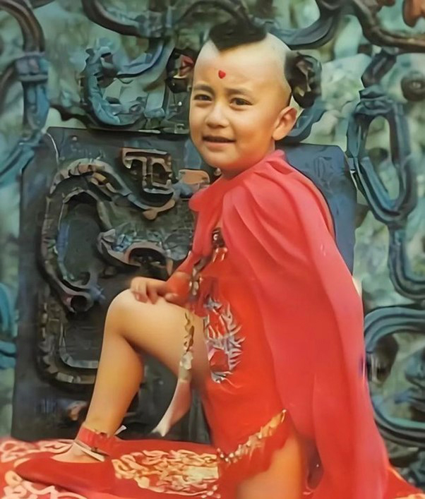Hồng Hài Nhi kinh điển nhất "lắc mình" thành tiến sĩ công nghệ, sở hữu gia tài bạc tỷ- Ảnh 1. Hồng Hài Nhi kinh điển nhất "lắc mình" thành tiến sĩ công nghệ, sở hữu gia tài bạc tỷ- Ảnh 1.