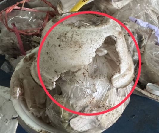 Phát hiện cụ bà 76 tuổi ăn xốp, sống một mình trong căn nhà đầy rác- Ảnh 3. Phát hiện cụ bà 76 tuổi ăn xốp, sống một mình trong căn nhà đầy rác- Ảnh 3.