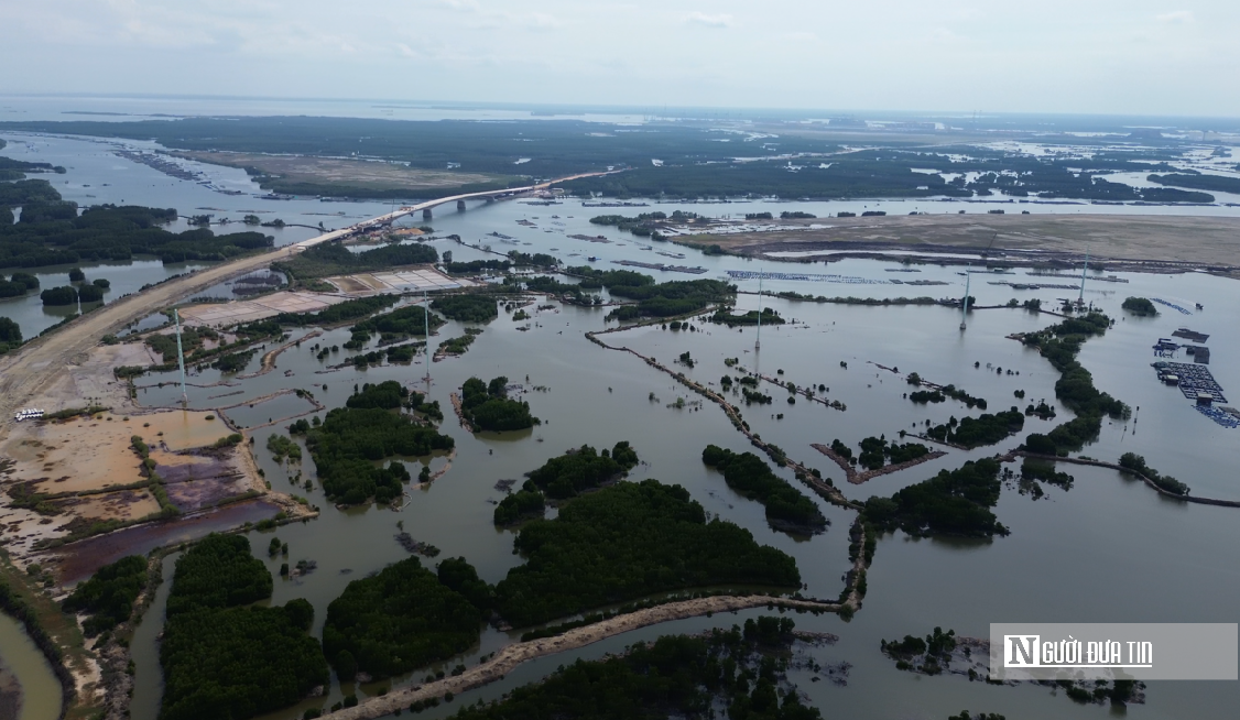 Chiêm ngưỡng đàn Giang Sen quý hiếm giữa thiên nhiên Bà Rịa - Vũng Tàu- Ảnh 4. Chiêm ngưỡng đàn Giang Sen quý hiếm giữa thiên nhiên Bà Rịa - Vũng Tàu- Ảnh 4.