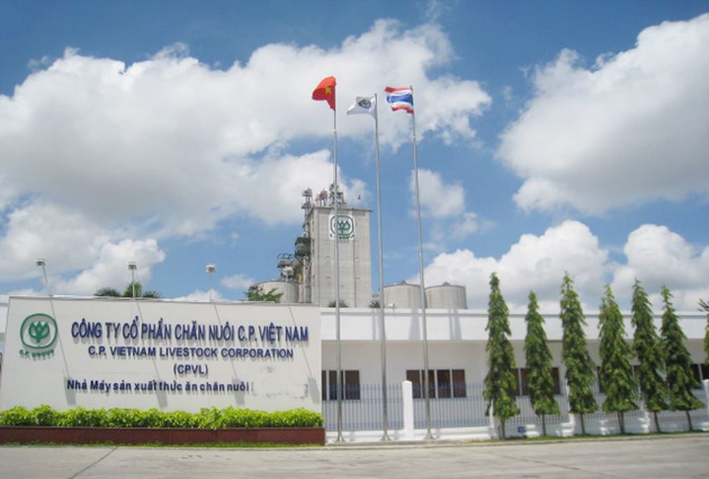 Doanh nghiệp chăn nuôi C.P. kinh doanh ra sao tại Việt Nam?- Ảnh 1. Doanh nghiệp chăn nuôi C.P. kinh doanh ra sao tại Việt Nam?- Ảnh 1.