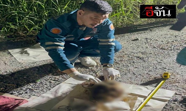 Vụ hộp sọ người có dấu hiệu án mạng ở Thái Lan: Phát hiện manh mối danh tính nạn nhân- Ảnh 2. Vụ hộp sọ người có dấu hiệu án mạng ở Thái Lan: Phát hiện manh mối danh tính nạn nhân- Ảnh 2.