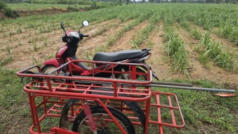 Đi xe máy trên cánh đồng mía, người đàn ông 61 tuổi bị sét đánh tử vong- Ảnh 1. Đi xe máy trên cánh đồng mía, người đàn ông 61 tuổi bị sét đánh tử vong- Ảnh 1.
