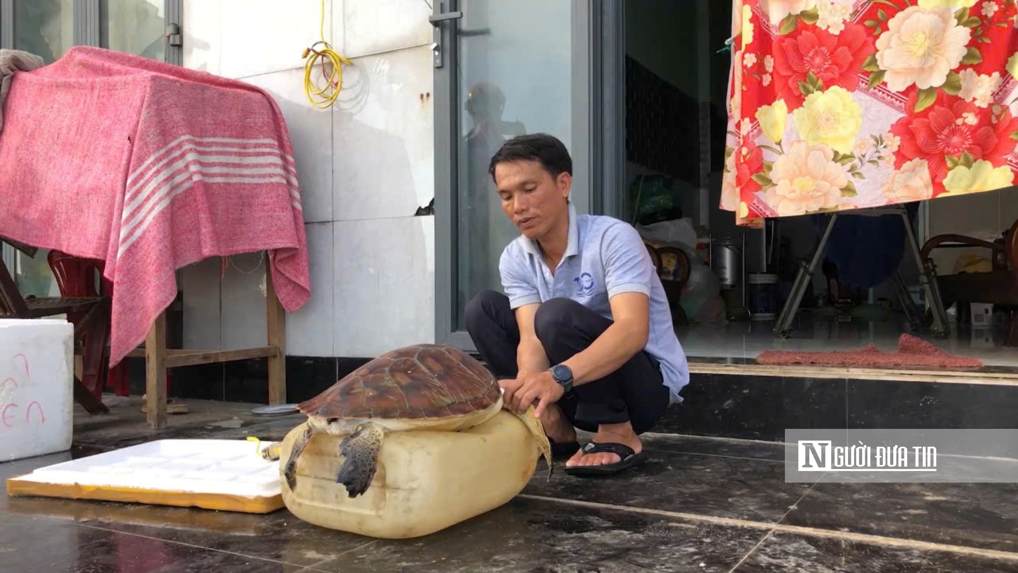 Ngư dân Ngô Văn Minh cùng cá thể rùa quý hiếm được giải cứu Ngư dân Ngô Văn Minh cùng cá thể rùa quý hiếm được giải cứu