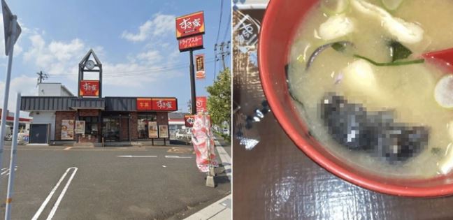 Ăn rau ở quầy buffet khách sạn, vị khách tái mặt khi phát hiện "thứ đáng sợ"- Ảnh 2. Ăn rau ở quầy buffet khách sạn, vị khách tái mặt khi phát hiện "thứ đáng sợ"- Ảnh 2.