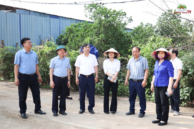 Hà Nội: Tạm dừng điều hành đối với 3 Chủ tịch xã ở Quốc Oai- Ảnh 1. Hà Nội: Tạm dừng điều hành đối với 3 Chủ tịch xã ở Quốc Oai- Ảnh 1.