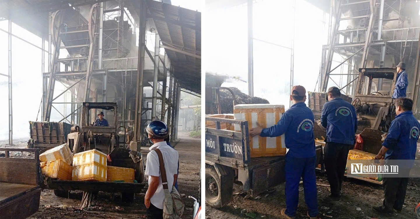 Bình Phước: Công bố dịch tả lợn châu Phi trên địa bàn phường Tân Xuân- Ảnh 2. Bình Phước: Công bố dịch tả lợn châu Phi trên địa bàn phường Tân Xuân- Ảnh 2.