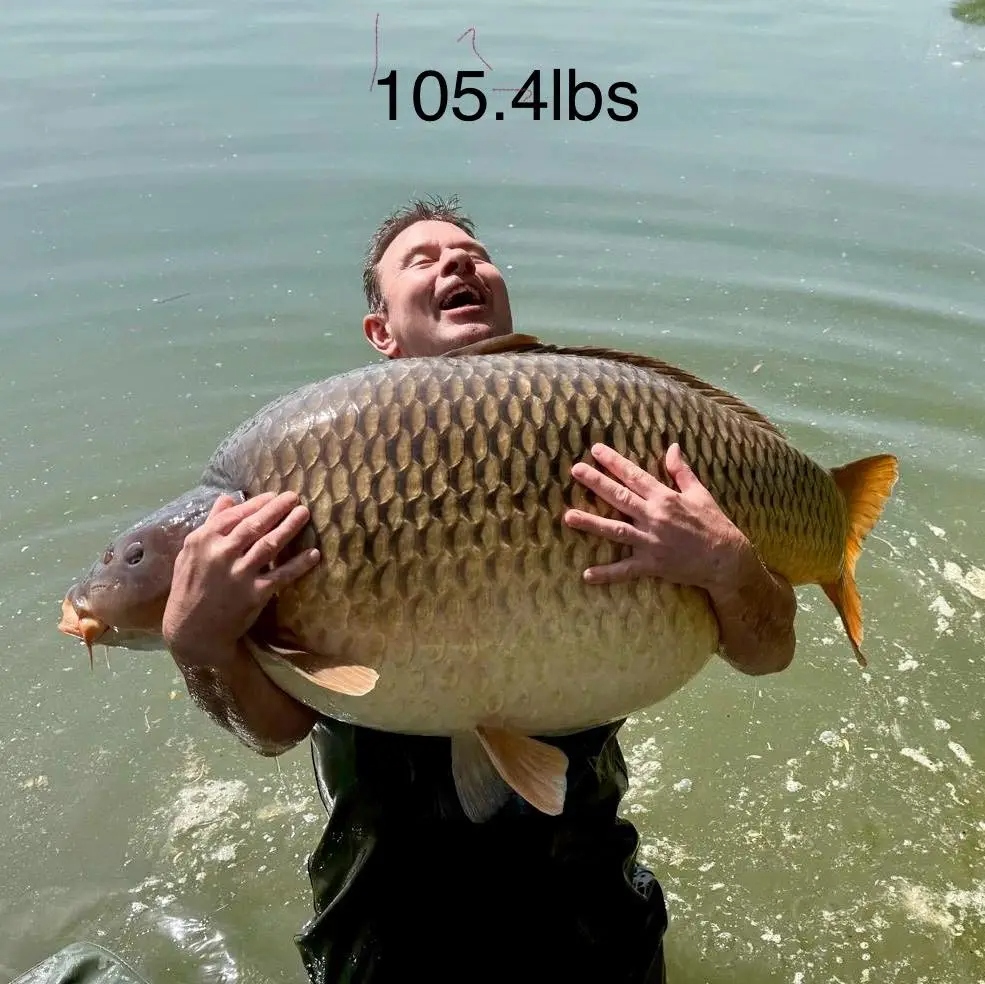 Người đàn ông sốc nặng khi bắt được con cá chép khổng lồ nặng 48kg- Ảnh 1. Người đàn ông sốc nặng khi bắt được con cá chép khổng lồ nặng 48kg- Ảnh 1.