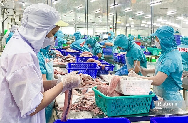 Ưu tiên xử lý kinh tế thay vì hình sự không phải là nương nhẹ cho doanh nghiệp tư nhân- Ảnh 3. Ưu tiên xử lý kinh tế thay vì hình sự không phải là nương nhẹ cho doanh nghiệp tư nhân- Ảnh 3.