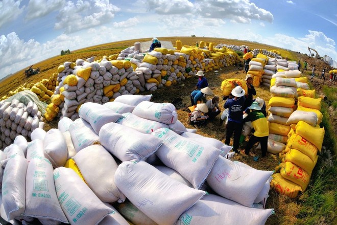 Kinh doanh bết bát, Gạo Trung An lỗ quý thứ tư liên tiếp- Ảnh 1. Kinh doanh bết bát, Gạo Trung An lỗ quý thứ tư liên tiếp- Ảnh 1.