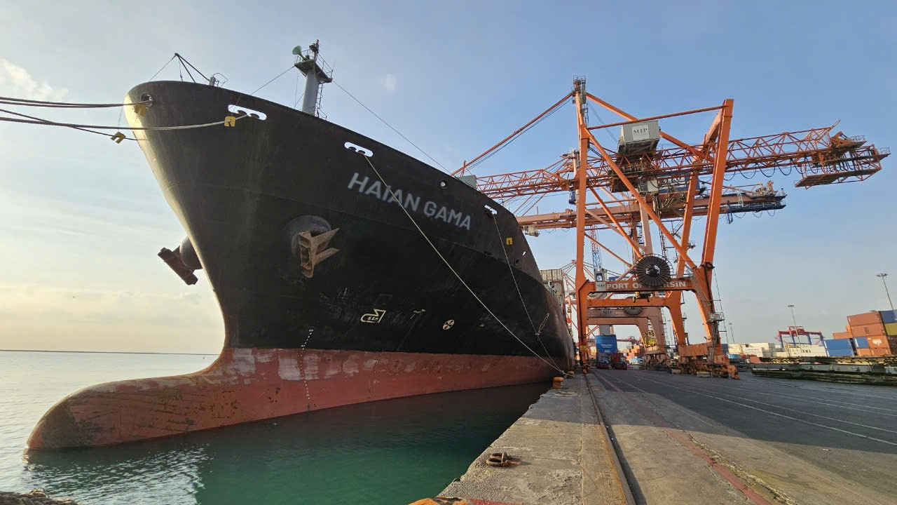 Vận tải và xếp dỡ Hải An tham vọng lớn mảng vận tải container- Ảnh 1.