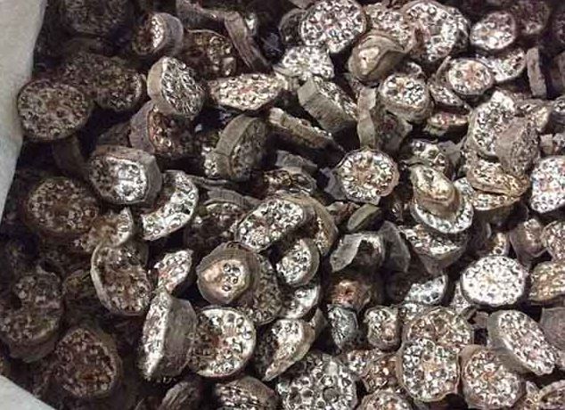 Thứ quả xưa rụng thối gốc không ai nhặt nay thành đặc sản dân phố săn lùng, 150.000 đồng/kg- Ảnh 3. Thứ quả xưa rụng thối gốc không ai nhặt nay thành đặc sản dân phố săn lùng, 150.000 đồng/kg- Ảnh 3.