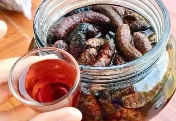 Thứ quả xưa rụng thối gốc không ai nhặt nay thành đặc sản dân phố săn lùng, 150.000 đồng/kg- Ảnh 5. Thứ quả xưa rụng thối gốc không ai nhặt nay thành đặc sản dân phố săn lùng, 150.000 đồng/kg- Ảnh 5.