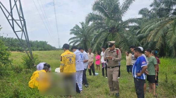 Trèo lên tháp truyền tải điện cao thế, nam thanh niên bị điện giật tử vong- Ảnh 1. Trèo lên tháp truyền tải điện cao thế, nam thanh niên bị điện giật tử vong- Ảnh 1.