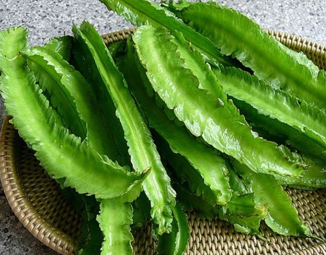 Thứ từng là thức ăn cho lợn bỗng hóa "vàng xanh", giá 1 triệu/kg vẫn "cháy hàng"- Ảnh 2. Thứ từng là thức ăn cho lợn bỗng hóa "vàng xanh", giá 1 triệu/kg vẫn "cháy hàng"- Ảnh 2.