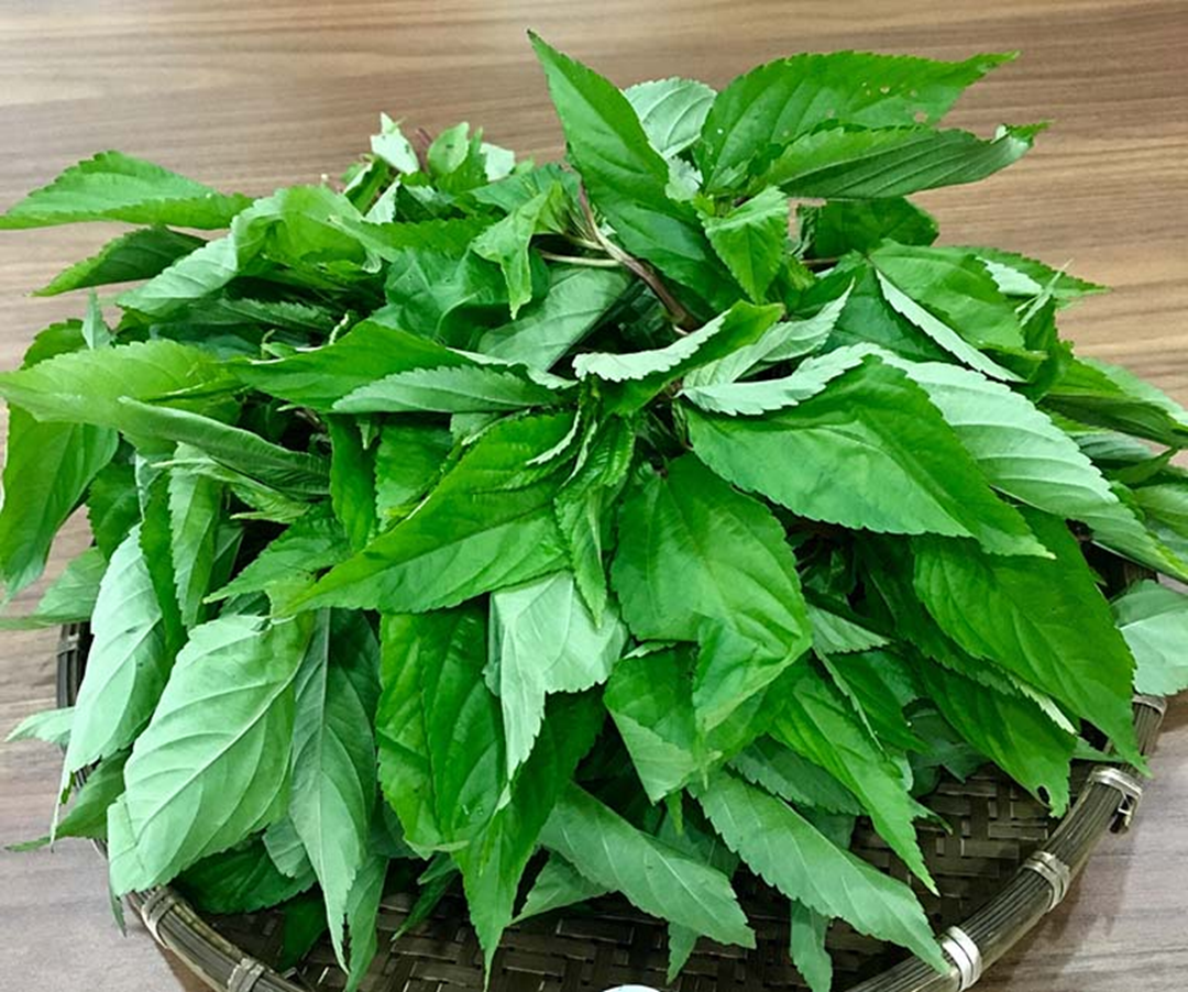 2 loại rau ít "ngậm" thuốc trừ sâu nhất chợ, cái số 1 rất quen- Ảnh 2. 2 loại rau ít "ngậm" thuốc trừ sâu nhất chợ, cái số 1 rất quen- Ảnh 2.