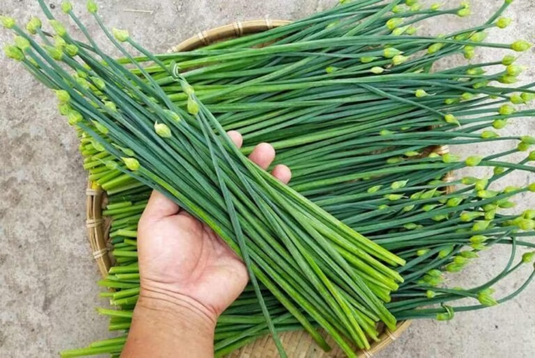2 loại rau ít "ngậm" thuốc trừ sâu nhất chợ, cái số 1 rất quen- Ảnh 1. 2 loại rau ít "ngậm" thuốc trừ sâu nhất chợ, cái số 1 rất quen- Ảnh 1.