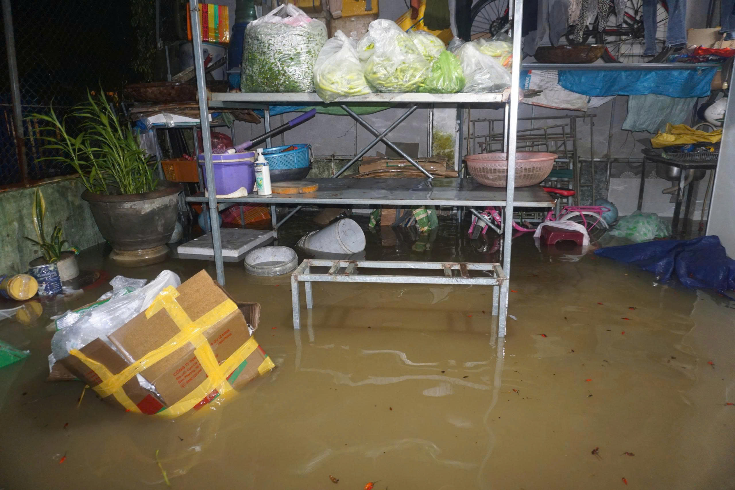 Người dân Đà Nẵng chạy lụt trong đêm- Ảnh 6. Người dân Đà Nẵng chạy lụt trong đêm- Ảnh 6.